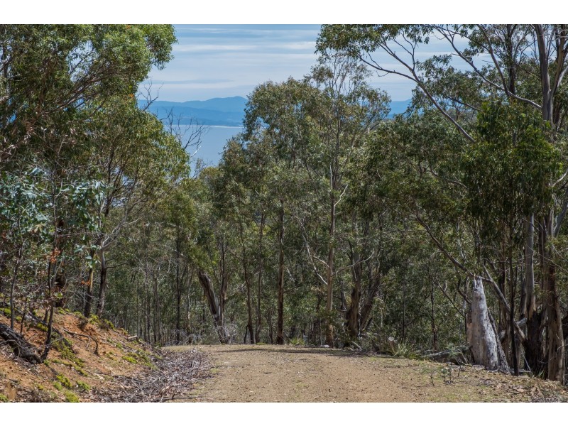 990/ Roaring Beach Road, Nubeena TAS 7184