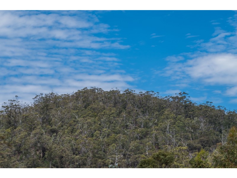 990/ Roaring Beach Road, Nubeena TAS 7184