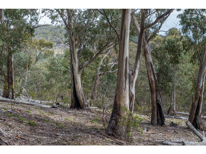 990/ Roaring Beach Road, Nubeena TAS 7184