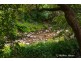 123 Cascade Road, South Hobart TAS 7004