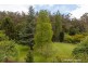 123 Cascade Road, South Hobart TAS 7004