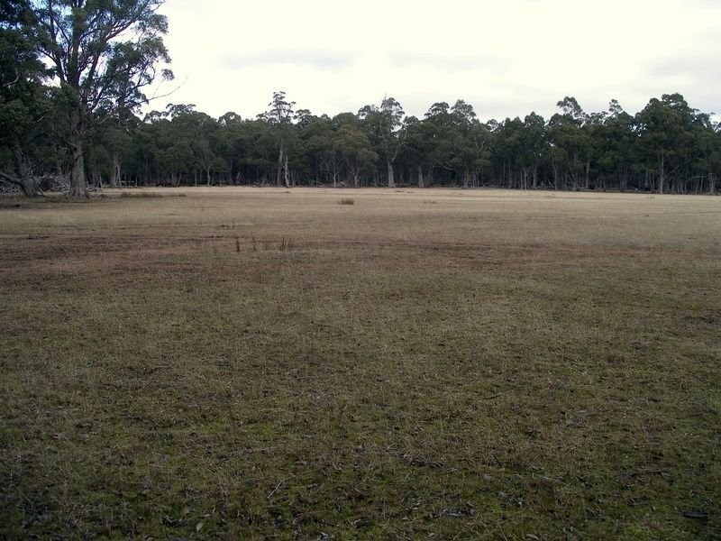 Glovers Glovers Road, Bothwell TAS 7030