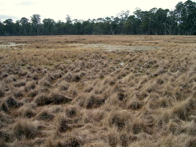 Glovers Glovers Road, Bothwell TAS 7030