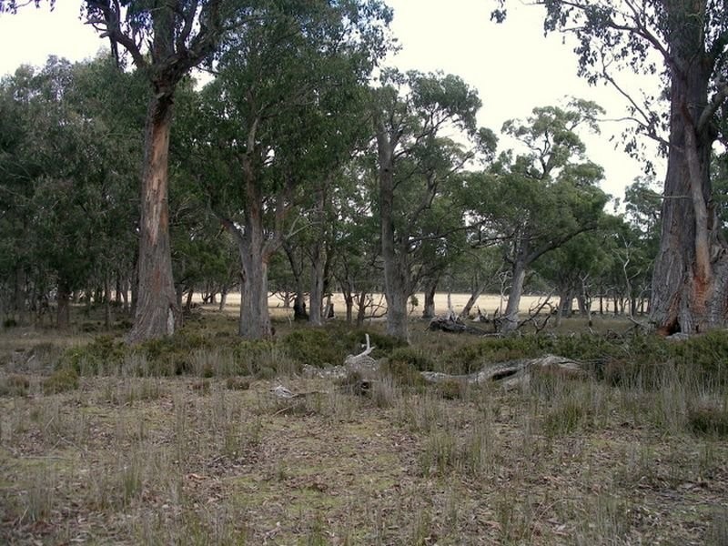 Glovers Glovers Road, Bothwell TAS 7030