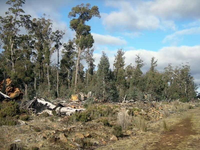 Glovers Glovers Road, Bothwell TAS 7030