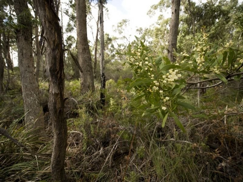 Greens Beach Road, Clarence Point TAS 7270