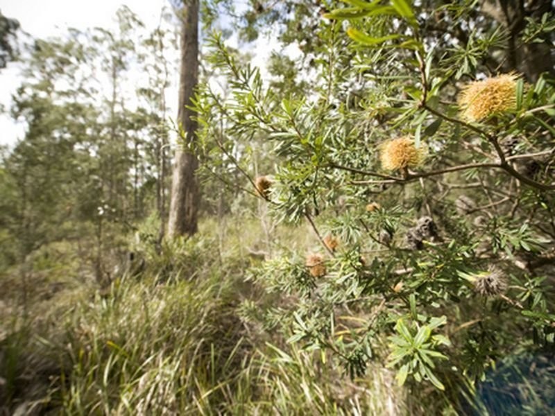 Greens Beach Road, Clarence Point TAS 7270