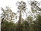 Prossers Road, Nunamara TAS 7259