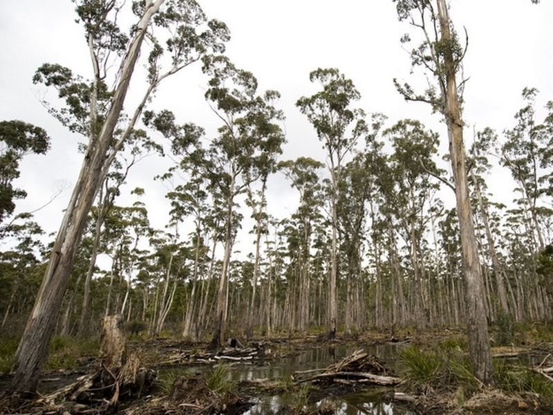 Prossers Road, Nunamara TAS 7259
