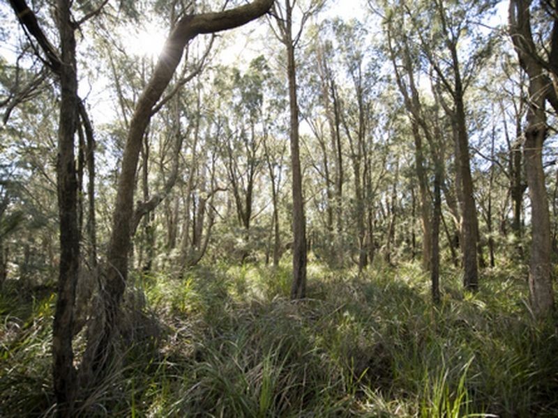 Greens Beach Rd, Clarence Point TAS 7270