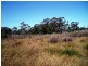 Greens Beach Rd, Clarence Point TAS 7270