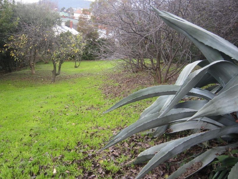 Sandy Bay TAS 7005