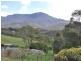2/31 Hillborough Road, South Hobart TAS 7004