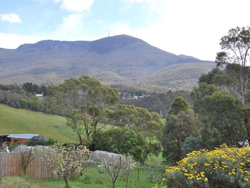 2/31 Hillborough Road, South Hobart TAS 7004