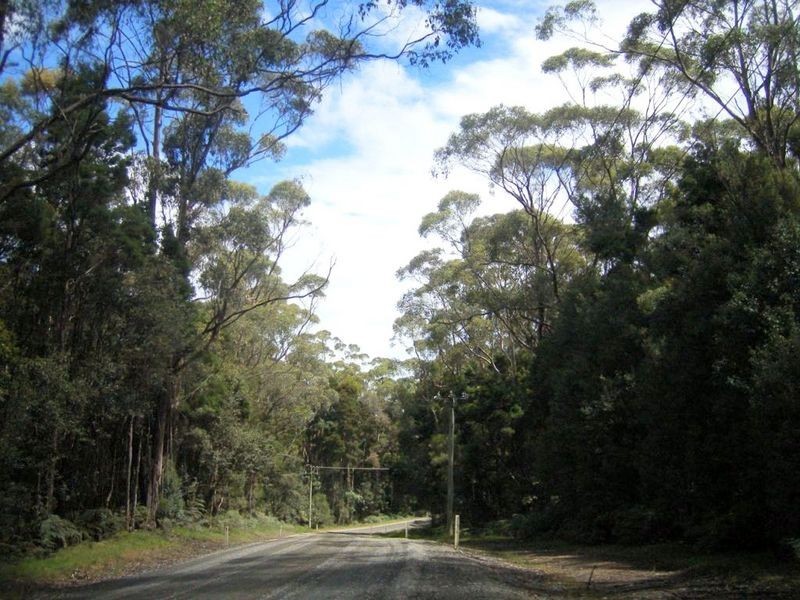 Pegarah Fo Pegarah Road, Pegarah TAS 7256