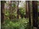 Pegarah Fo Pegarah Road, Pegarah TAS 7256