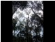 Pegarah Fo Pegarah Road, Pegarah TAS 7256