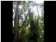 Pegarah Fo Pegarah Road, Pegarah TAS 7256