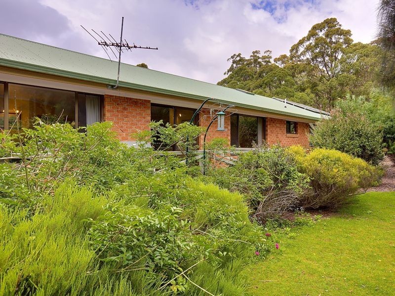 305a Strickland Avenue, South Hobart TAS 7004