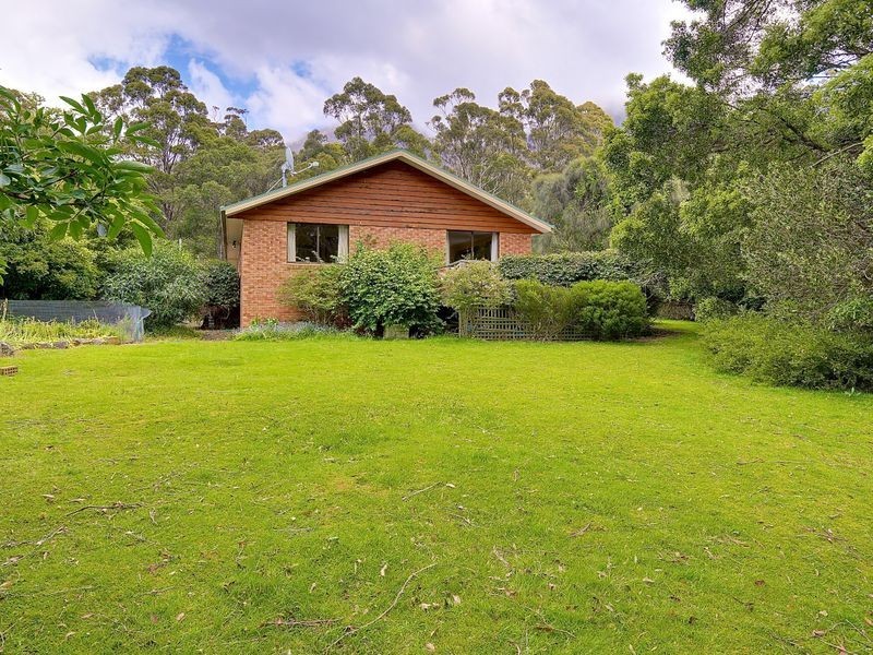 305a Strickland Avenue, South Hobart TAS 7004