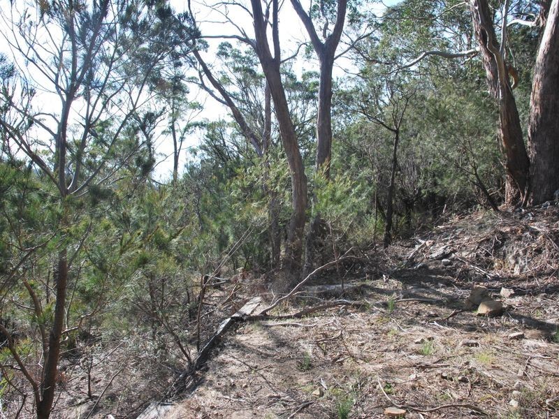 South Hobart TAS 7004