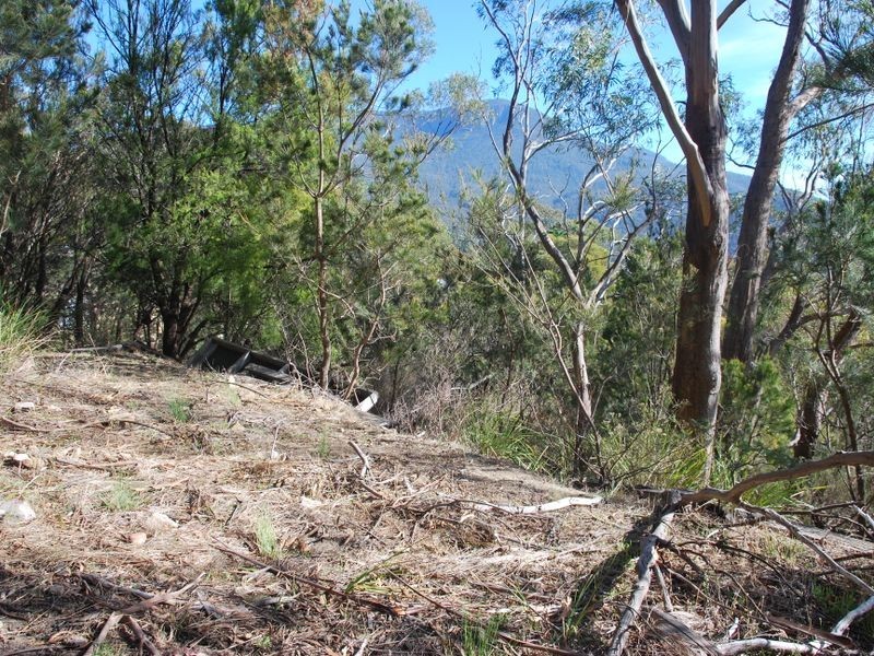 South Hobart TAS 7004