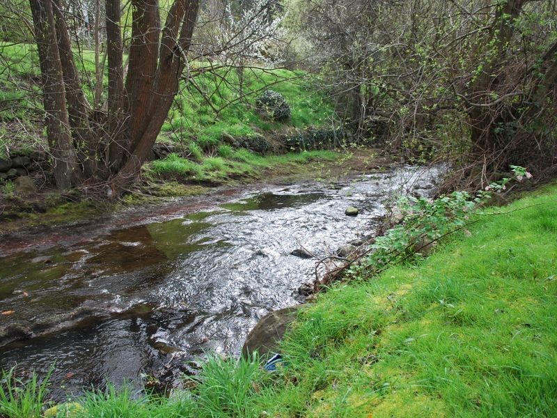 South Hobart TAS 7004