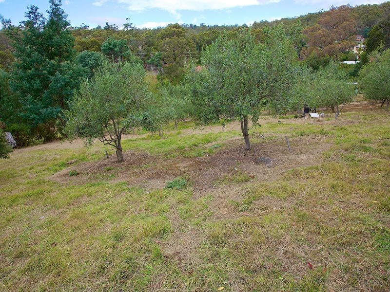 South Hobart TAS 7004