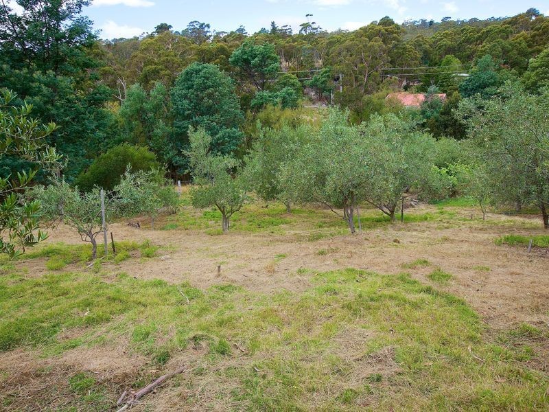 South Hobart TAS 7004