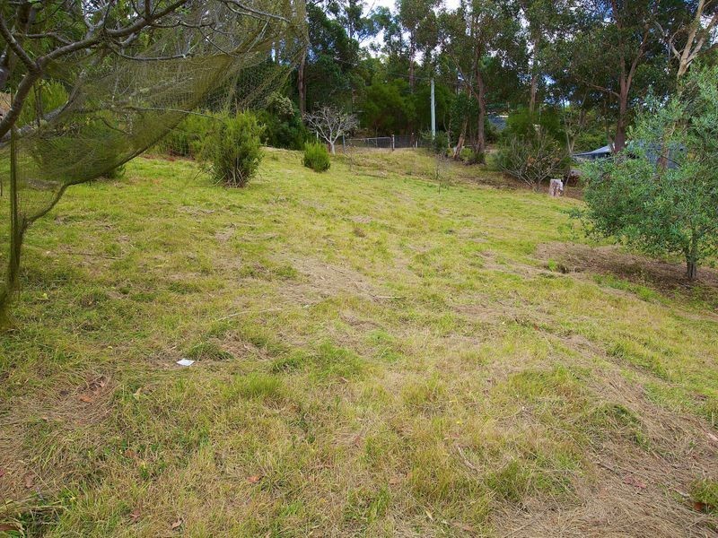 South Hobart TAS 7004