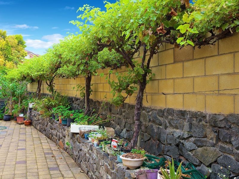 Mount Stuart TAS 7000