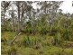 Lilla Vill Tasman Highway, Bicheno TAS 7215