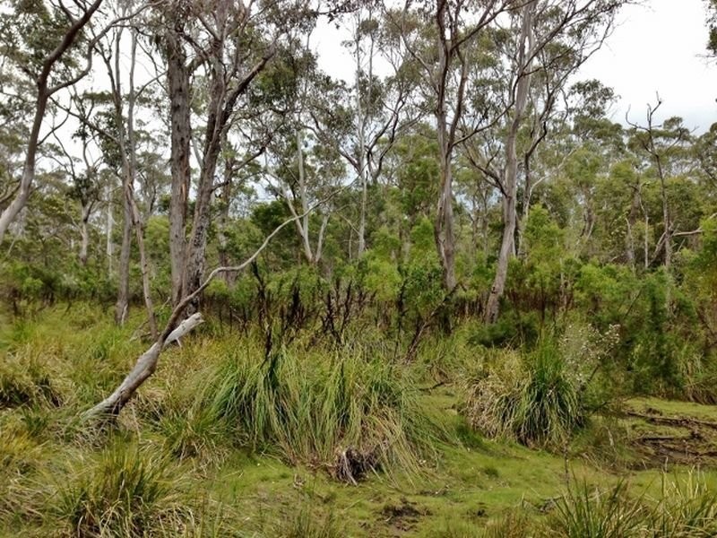 Lilla Vill Tasman Highway, Bicheno TAS 7215