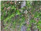 Lilla Vill Tasman Highway, Bicheno TAS 7215