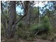 Lilla Vill Tasman Highway, Bicheno TAS 7215