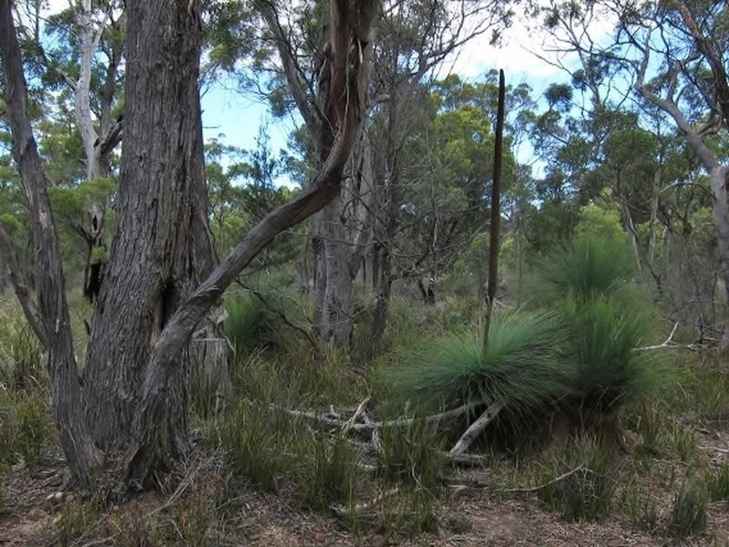 Lilla Vill Tasman Highway, Bicheno TAS 7215