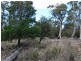 Lilla Vill Tasman Highway, Bicheno TAS 7215