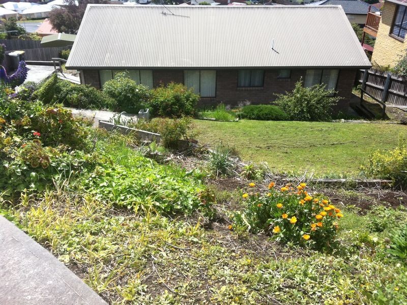 12 Seddon Street, Austins Ferry TAS 7011