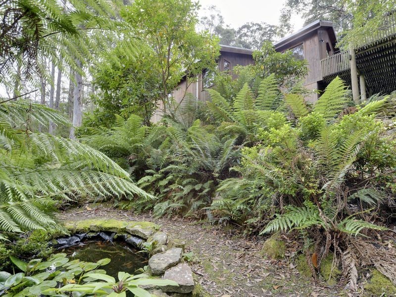 Fern Tree TAS 7054