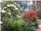 Fern Tree TAS 7054