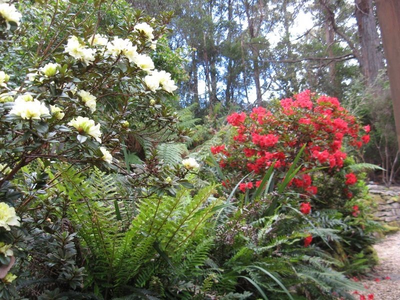 Fern Tree TAS 7054