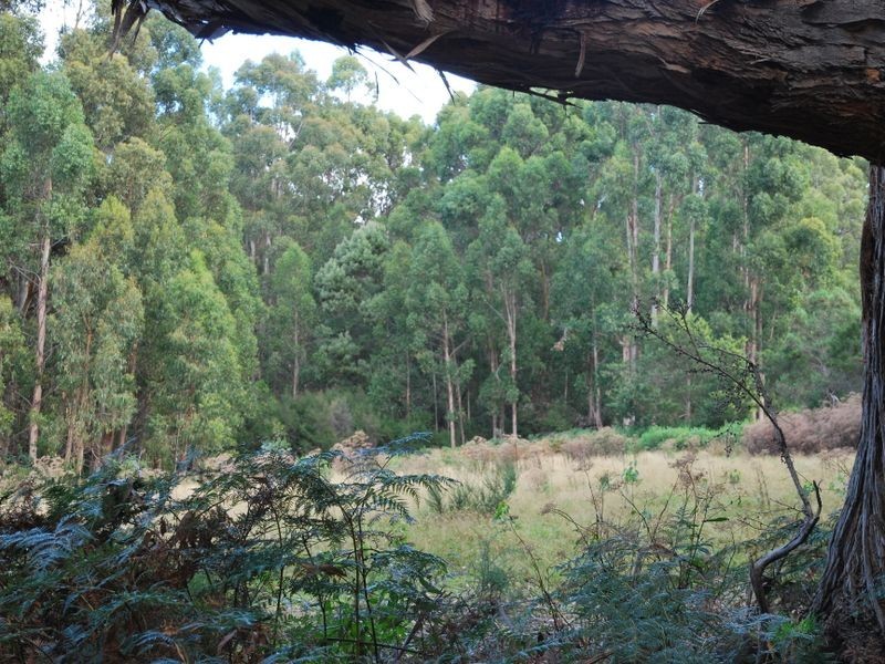 615 Lady Bay Road, Southport TAS 7109