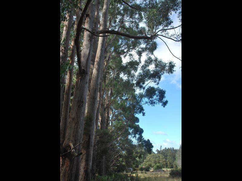 615 Lady Bay Road, Southport TAS 7109