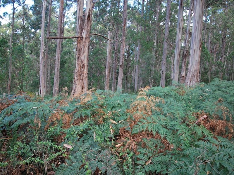 615 Lady Bay Road, Southport TAS 7109