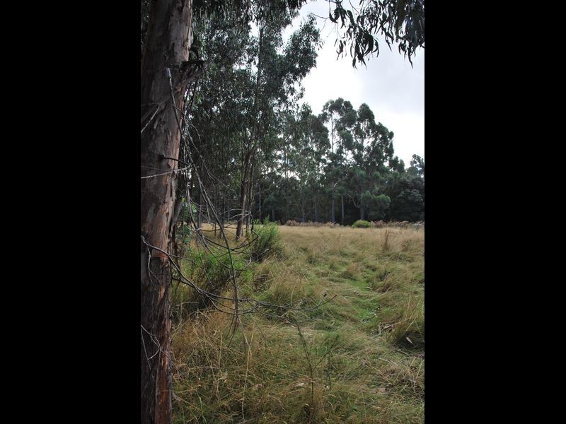 615 Lady Bay Road, Southport TAS 7109