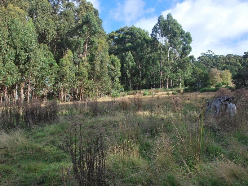 615 Lady Bay Road, Southport TAS 7109