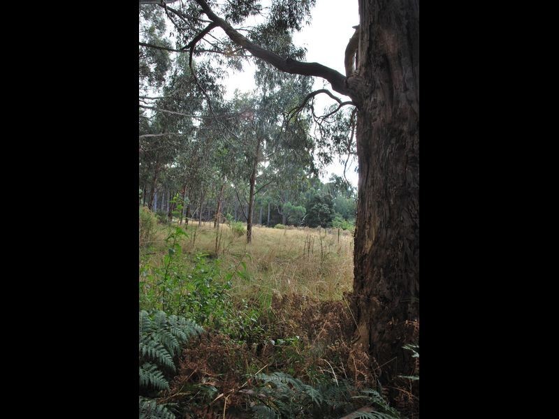 615 Lady Bay Road, Southport TAS 7109