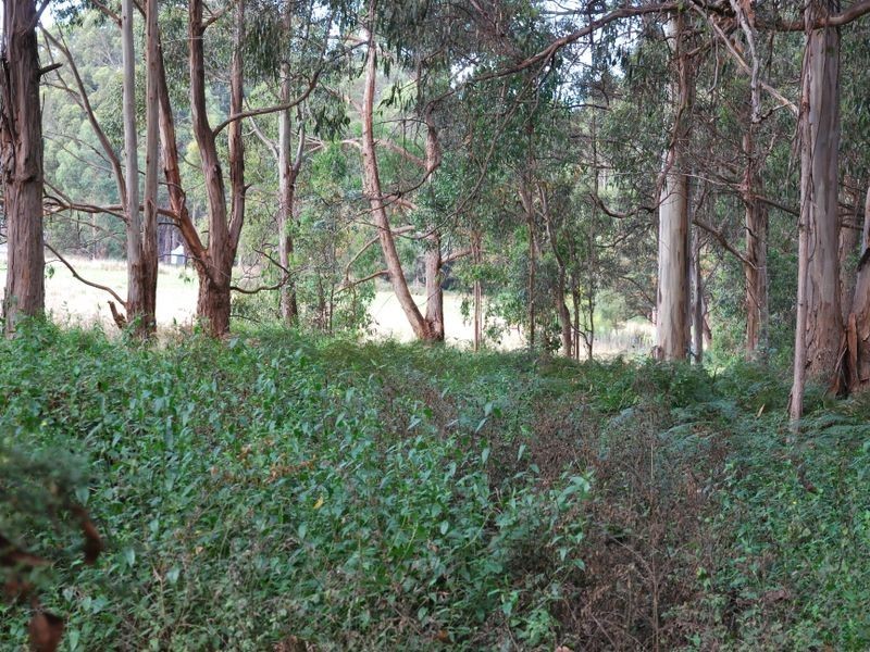 615 Lady Bay Road, Southport TAS 7109