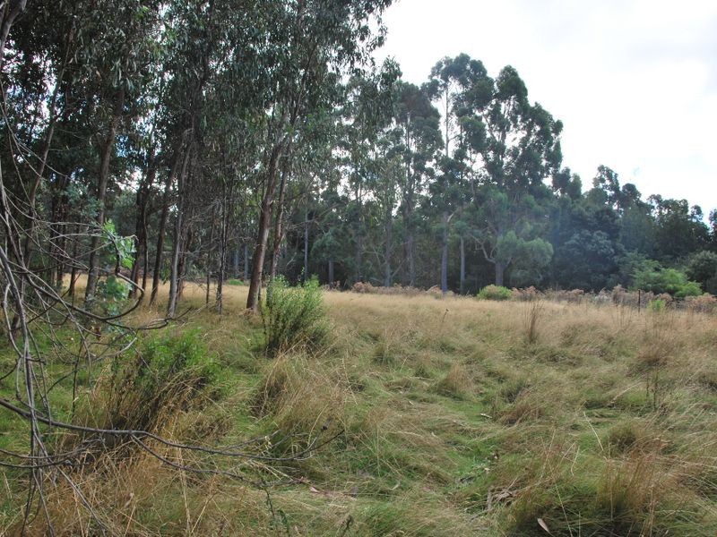 615 Lady Bay Road, Southport TAS 7109