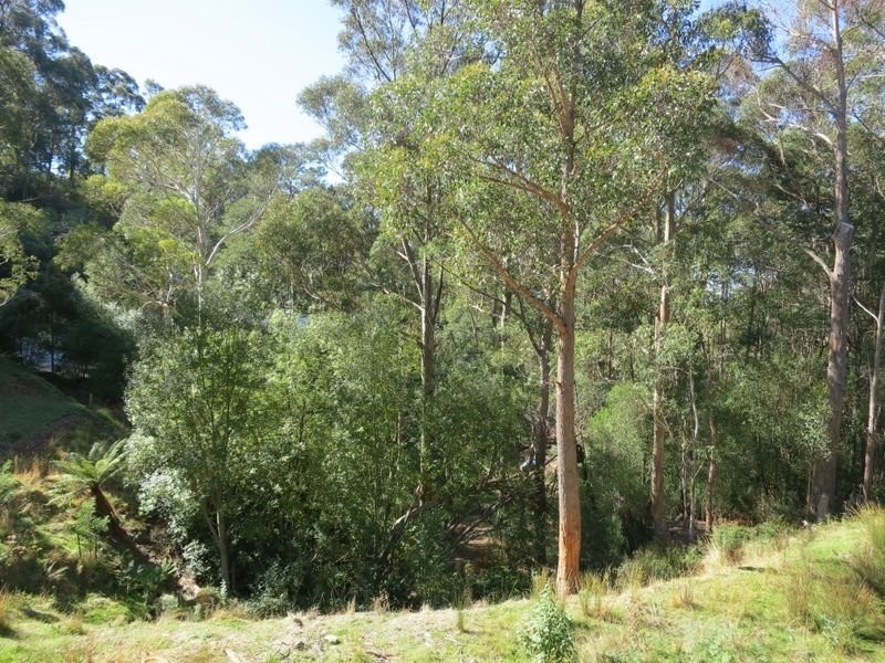 286 Strickland Avenue, South Hobart TAS 7004